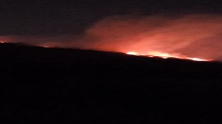 Hatayda ormanlık alanda çıkan yangın büyümeden söndürüldü