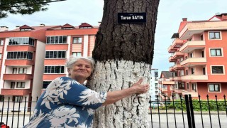 Hatıra ormanı değil site bahçesi