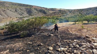 Hekimhanda ormanlık alanda çıkan yangın söndürüldü