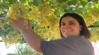 Hem mahallenin muhtarı hem bağın sultanı