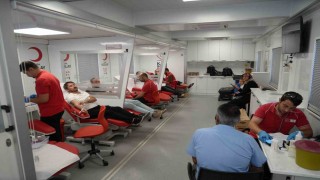 Her kan bağışı, ormanda 3 fidana dönüşüyor