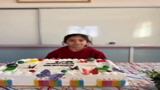 Hezil Çayına düşen 8 yaşındaki çocuk hayatını kaybetti