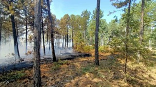Honazdaki orman yangınına karadan ve havadan müdahale ediliyor