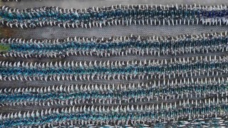 İBBnin bisiklet mezarlığı havadan görüntülendi