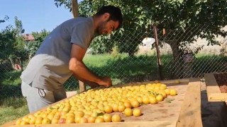 Iğdırda güneşte kurutulan meyveler pazarda satılıyor