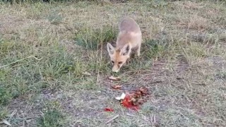İlhan öğretmenden anlamlı davranış