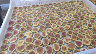 İncir cipsi sofraların yeni gözdesi oldu