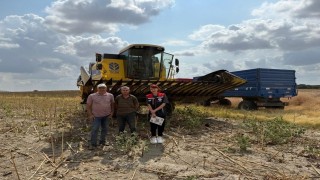 İpsalada biçerdöver hasat kontrolleri yapıldı