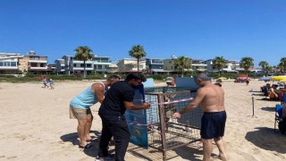 Işık kirliliği yönlerini şaşırttı, gönüllüler kurtardı