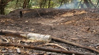 İspanya 14 farklı noktada orman yangını: 7 ölü