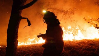İspanyadaki orman yangınlarında 407 bin hektarlık alan kül oldu