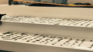 Ispartada 481 parça tarihi eser ele geçirildi