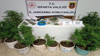 Ispartada bir eve düzenlenen operasyonda esrar ve kenevir ele geçirildi