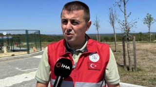 İstanbul Valiliğinin talimatı sonrası Arnavutköyde sahipsiz hayvanlar toplanmaya başlandı