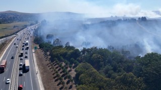 İstanbulda ağaçlık alanda ve çiftlikte yangın çıktı