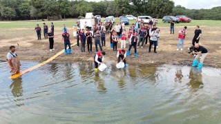 İstanbuldaki göletlere 3,7 milyon yerli üretim sazan yavrusu bırakıldı