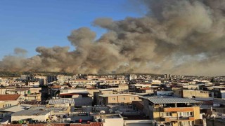İzmir Bucada orman yangını