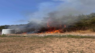 İzmir Mendereste orman yangını