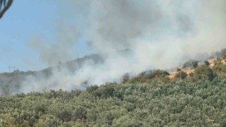 İznikte orman yangını