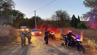 Jandarma incir hırsızlarına geçit vermiyor