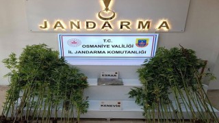 Jandarmadan Ağustos Ayı Operasyonlarında 121 Şüpheli Yakalandı