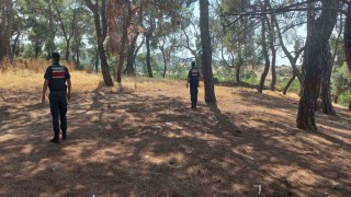 Jandarmadan orman devriyesi