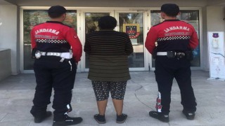 Jandarmadan Suçlulara Göz Açtırmayan Operasyonlar