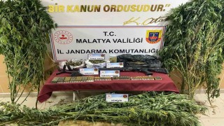 jandarmadan uyuşturucu operasyonu: 1 gözaltı