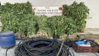 Jandarmadan uyuşturucu operasyonu: 17 yakalama