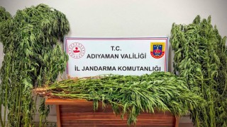 Jandarmadan uyuşturucu operasyonu: 9 gözaltı