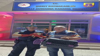 Jandarmanın bulduğu yaralı Kocagöz koruma altına alındı