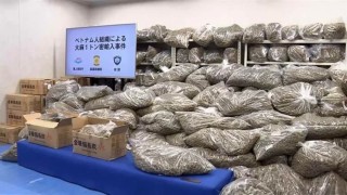 Japonyadaki uyuşturucu operasyonunda bin 46 tonluk rekor miktarda esrar ele geçirildi