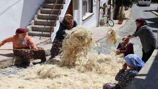 Kadın muhtar başlattı: Yünleri imece usulü havalandırıyorlar