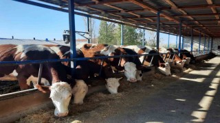 Kadınlara verilen destekler, meyvelerini vermeye başladı