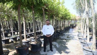 Kağıthaneye 50 bin ağaç ve 1 milyon metrekare yeşil alan kazandırıldı