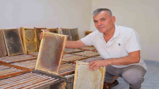Kahramanmaraşta bu yıl 10 bin tonunun üzerinde bal rekoltesi bekleniyor