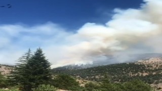 Kahramanmaraşta orman yangını
