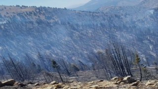 Kahramanmaraştaki orman yangını sürüyor