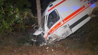 Kamyonetin çarptığı ambulans bahçeye uçtu: 5 yaralı