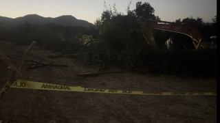 Kanal çalışması sırasında devrilen ağacın altında kalan kişi öldü