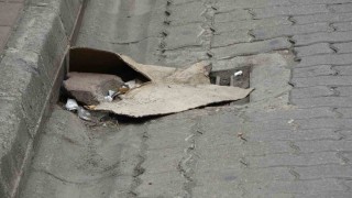 Kanalizasyon kokusuna Karadeniz usulü çözüm