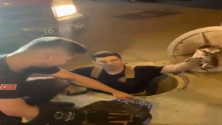 Kanalizasyonda mahsur kalan kedi böyle kurtarıldı