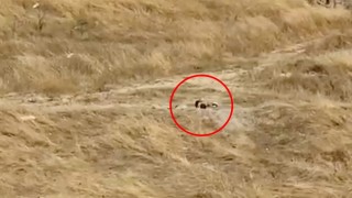 Kapaklıda güpegündüz boş alanda uygunsuz görüntülere tepki