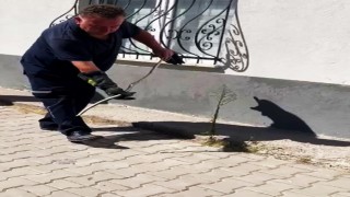 Karabükte doğalgaz kutusuna giren yılan yakalandı