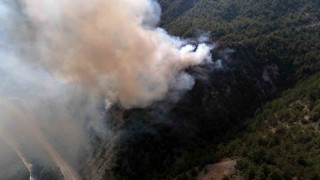 Karabükte orman yangını çıktı