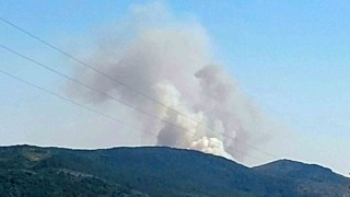 Karabükte orman yangını çıktı