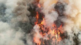 Karabükte orman yangını nedeniyle bir mahalle boşaltıldı