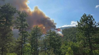 Karabükte orman yangını rüzgarın etkisiyle büyüyor