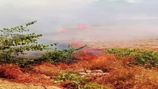 Karabükte ot yangını büyümeden söndürüldü