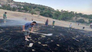 Karabükte otluk alanda yangın